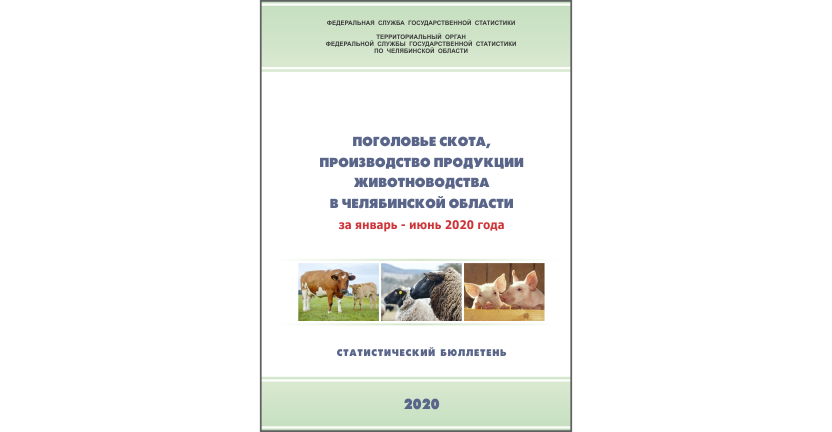 Челябинскстат выпустил статистический бюллетень « Поголовье скота, производство продукции животноводства в Челябинской области»