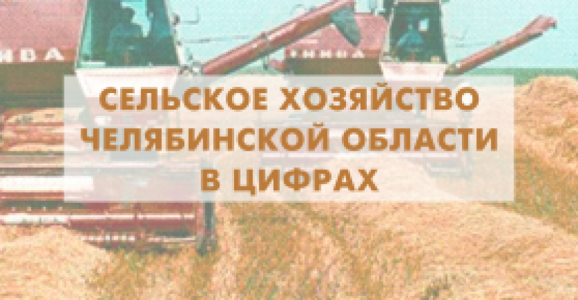 Челябинскстат выпустил брошюру «Сельское хозяйство Челябинской области в цифрах»