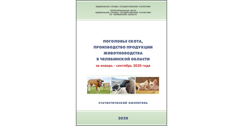 Челябинскстат выпустил статистический бюллетень « Поголовье скота, производство продукции животноводства в Челябинской области»