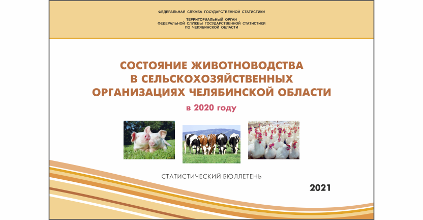 Челябинскстат выпустил статистический бюллетень « Состояние животноводства в сельскохозяйственных организациях Челябинской области»