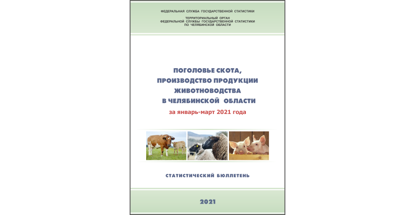 Челябинскстат выпустил статистический бюллетень « Поголовье скота, производство продуктов животноводства в Челябинской области»