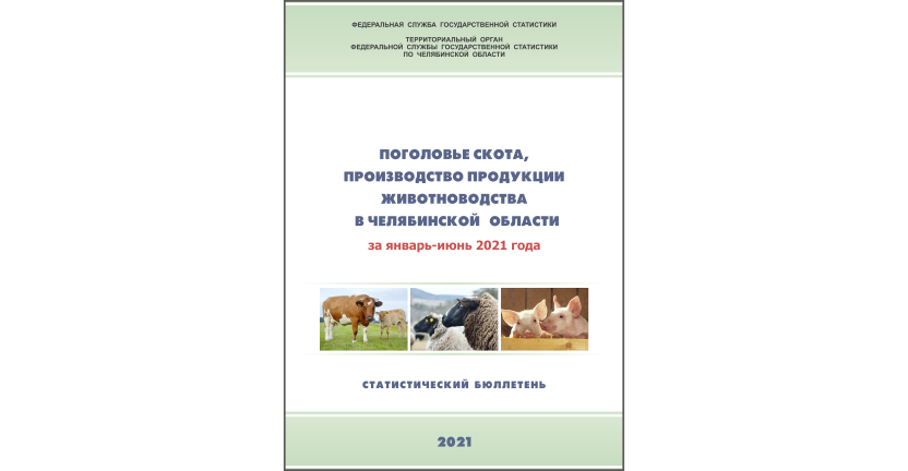 Челябинскстат выпустил статистический бюллетень « Поголовье скота, производство продуктов животноводства в  Челябинской области»