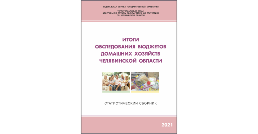 Челябинскстат выпустил статистический сборник « Итоги обследования бюджетов домашних хозяйств Челябинской области»