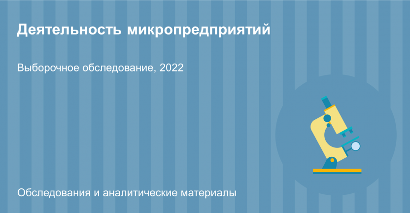 Деятельность микропредприятий  Челябинской области  в 2022 году