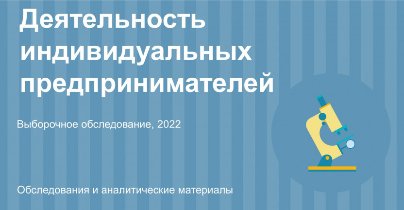 Деятельность индивидуальных предпринимателей  Челябинской области  в  2022 году