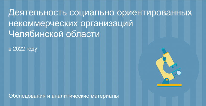 Деятельность социально ориентированных некоммерческих организаций Челябинской области в 2022 году
