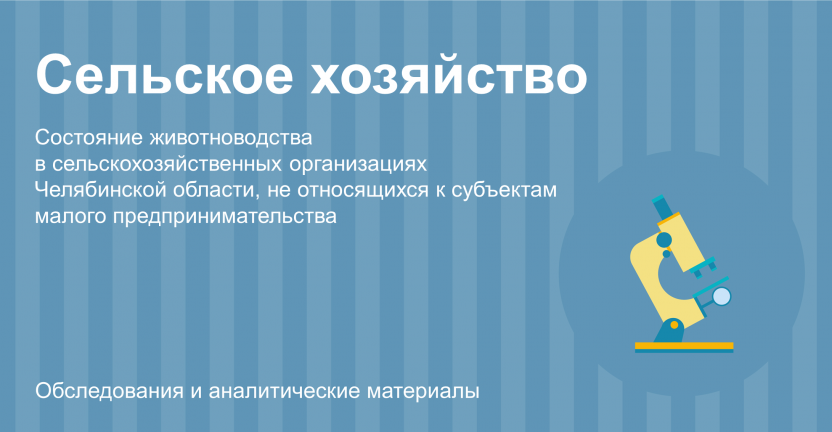 Состояние животноводства в сельскохозяйственных организациях Челябинской области, не относящихся к субъектам малого предпринимательства в 2023 году