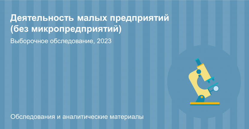 Деятельность малых предприятий  (без микропредприятий) Челябинской области  в  2023 году